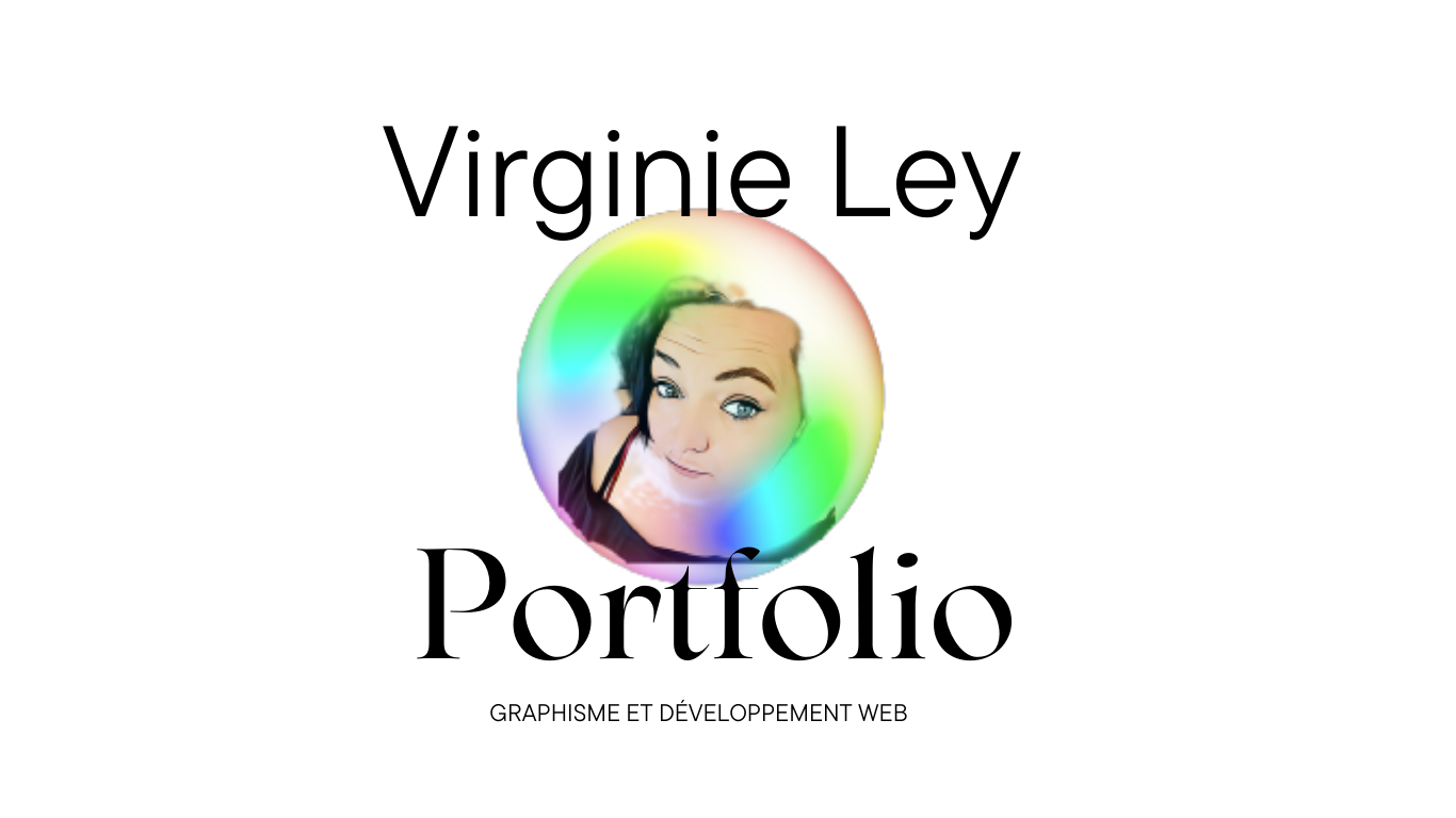 portfolio Devweb88
